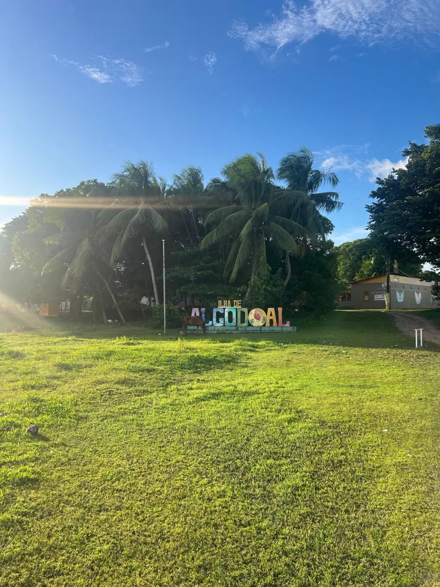Letreiro de Algodoal entre coqueiros