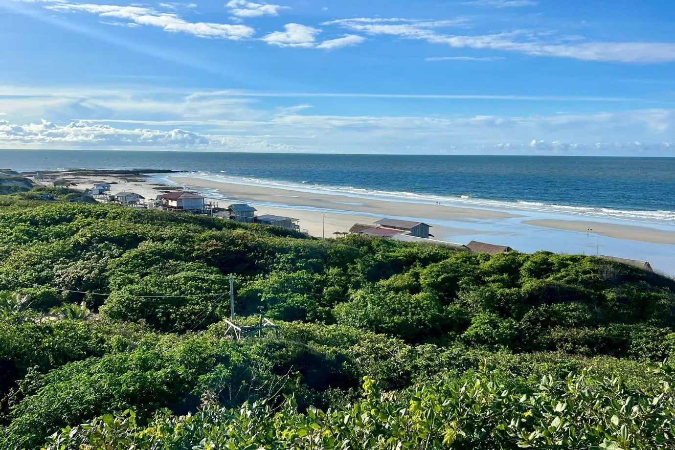 Vista da praia e da vegetação da Ilha de Algodoal-Maiandeua